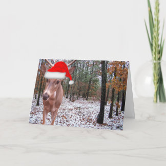 De echte Kaart van de Scène van Kerstmis van het