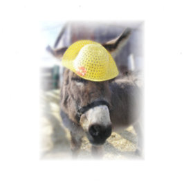 "De Echte Paashaas" Kerstkaart Feestdagen Kaart