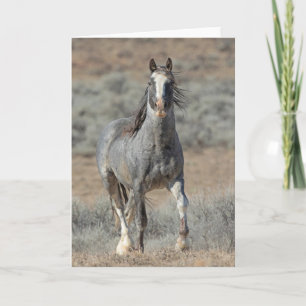 "De echte wilde eerste" biljet Kaart