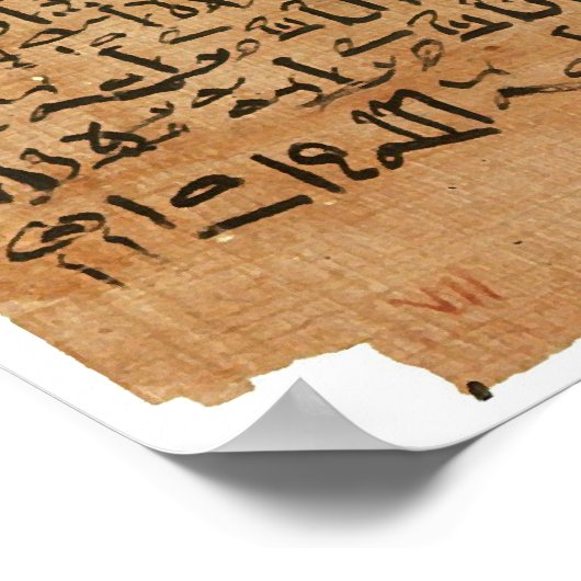 De Edwin Smith Papyrus Poster (Hoek)