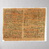De Edwin Smith Papyrus Poster (Voorkant)