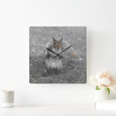 De eekhoorn deed het vierkante klok (Huis)