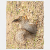 De eekhoorn eet een moerfoto fleece deken (Voorkant)