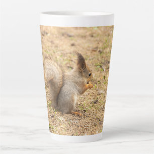 De eekhoorn eet een moerfoto latte mok
