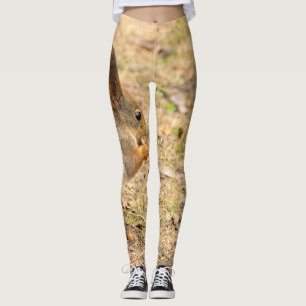 De eekhoorn eet een moerfoto leggings