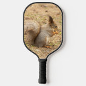 De eekhoorn eet een moerfoto pickleball paddle (Achterkant)