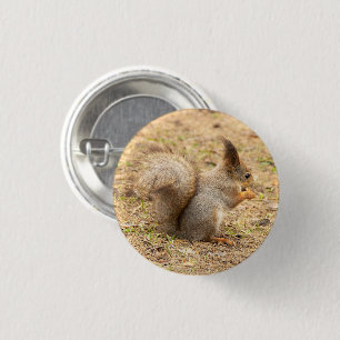 De eekhoorn eet een moerfoto ronde button 3,2 cm