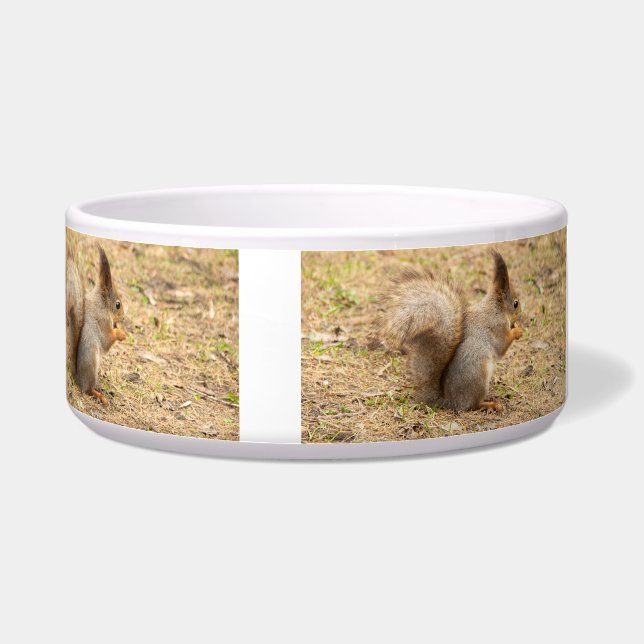 De eekhoorn eet een moerfoto voerbakje (Rechts)