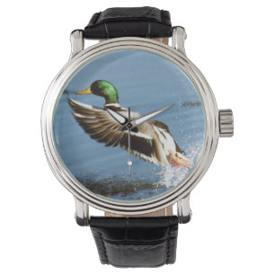 De Eend van de Mannetjeseend van de wilde eend Horloge