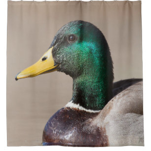 De eend van de wilde eend douchegordijn
