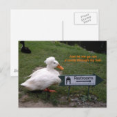 De Eend van de Zaal van de rust Briefkaart (Voorkant / Achterkant)