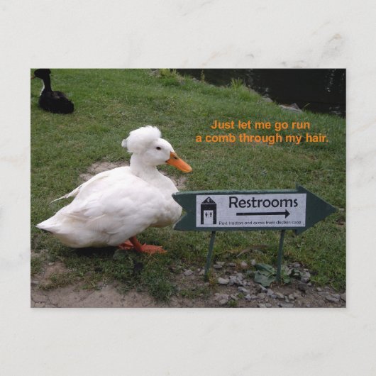 De Eend van de Zaal van de rust Briefkaart (Voorkant)