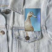 de eenden  button (Insitu)