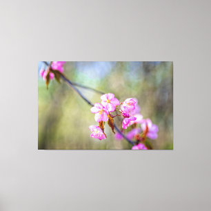 De eenvoudige schoonheid van Sakura Flowers in Spr Canvas Afdruk