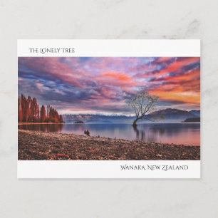 De eenzame boom - Wanaka, Nieuw-Zeeland Briefkaart
