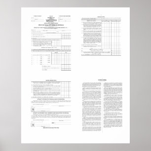 De eerste Amerikaanse inkomstenbelasting formulier Poster