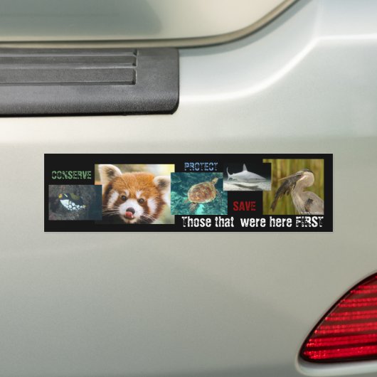 De eerste bumpersticker (Op auto)