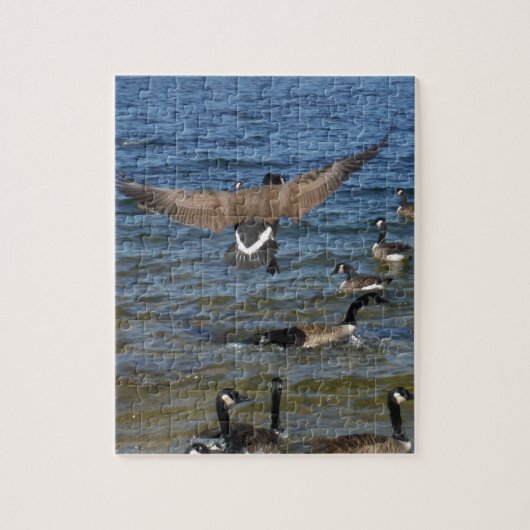 De eerste gans om te vliegen, de ganzen op het Arr Legpuzzel (Verticaal)