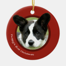 De eerste kerst van Puppy (Cardigan Welsh Corgi)