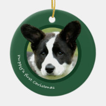 De eerste kerst van Puppy (Cardigan Welsh Corgi)