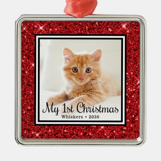 De eerste kerstfoto van Kitten Metalen Ornament (Voorkant)