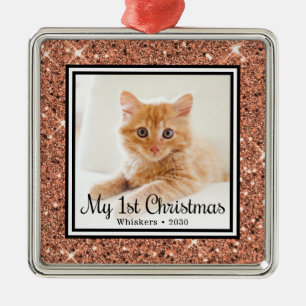 De eerste kerstfoto van Kitten Metalen Ornament