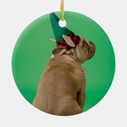 De eerste kerstfoto van Pet Dog Ornament (Achterkant)