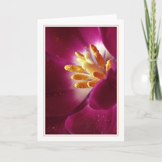 De eerste van het leven kaart (Voorkant)