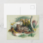 De Egyptische kat van Joseph Wolf Briefkaart (Voorkant / Achterkant)