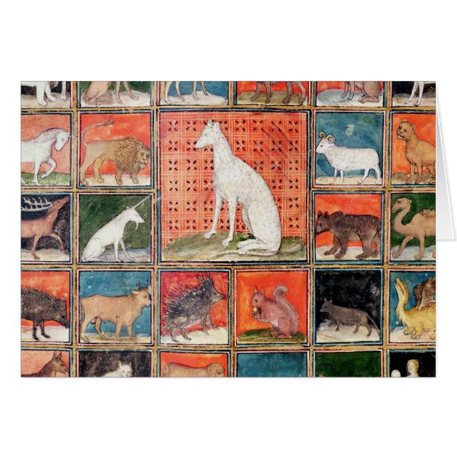 De eigenschappen van beesten: De zoogdieren (Voorkant Horizontaal)