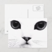 De Eigenschappen van de Kat van het kat Briefkaart (Voorkant / Achterkant)
