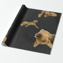De eigenwijze Airedale-cadeaupapier