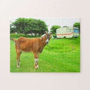 DE EIGENZINNIGE GEIT 11x14 INCH Legpuzzel