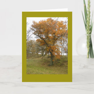 De Eiken Boom van de kant van de weg in de Herfst Kaart