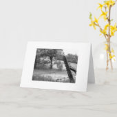 De Eiken Boom van de Vallei van Carmel Kaart (Gele Bloem)