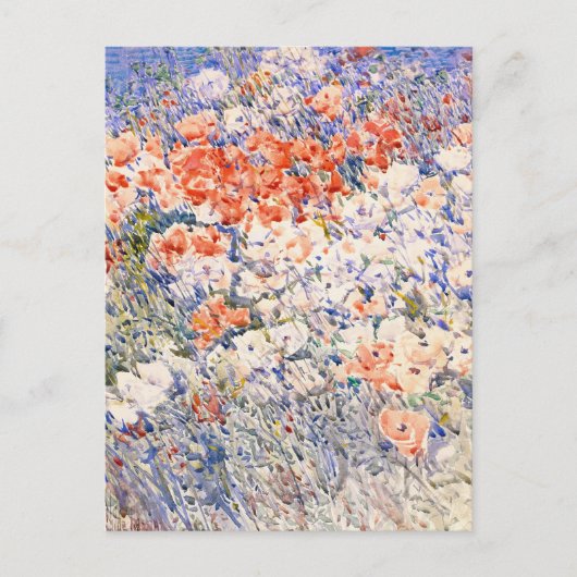 De eilandtuin | Childe Hassam Briefkaart (Voorkant)