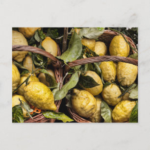 De elegante Italiaanse Amalfi van de Mand van de Briefkaart