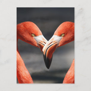 De elegante vogels - het symbool voor de liefde briefkaart