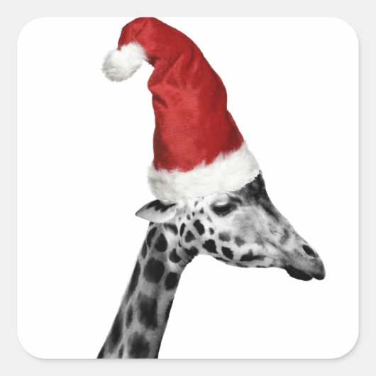 De Elegantie van de Kerst Giraffe Vierkante Sticker (Voorkant)