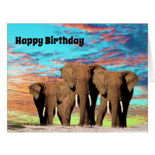 De Elephant Gang, Jumbo Birthday Kaart
