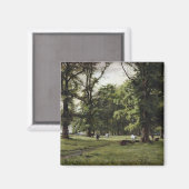 De Elm Walk Magneet (Voorkant / Achterkant)