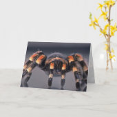 De enge spin van de Tarantula Kaart (Gele Bloem)