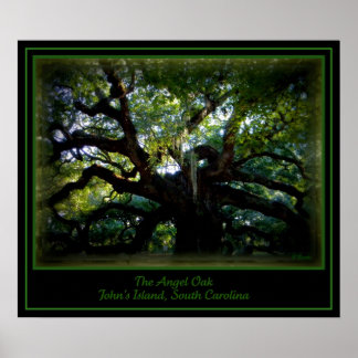 De engel Oak Poster