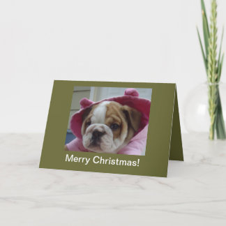 De Engelse Kerstkaarten van het Puppy van de Feestdagen Kaart