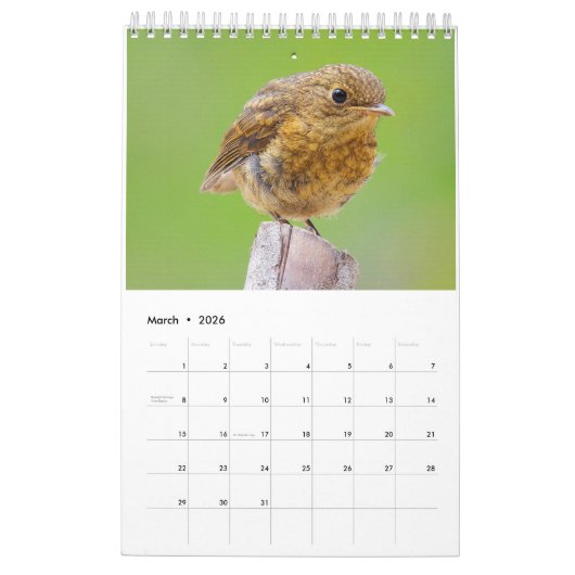 De Engelse Robin Kalender (Mar 2026)