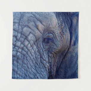 DE ERVARING GAAT MET DE ELEPHANTS OVER HUGGI WANDKLEED