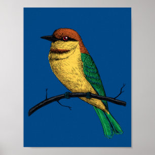 De eter van de bij poster