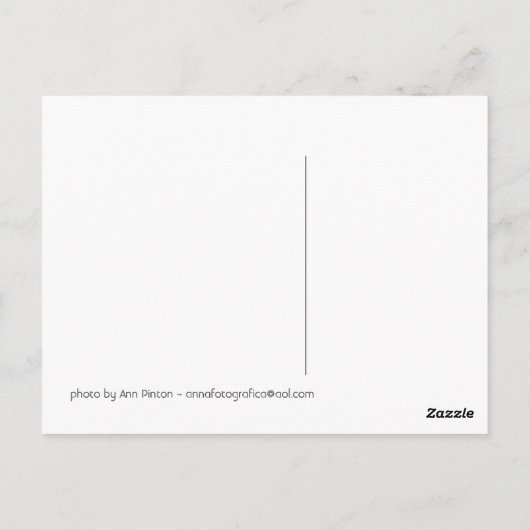 De Ethel Walker School, Springtime Briefkaart (Achterkant)