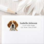 De Etiketten van het Adres van de Terugkeer van Be (Insitu)