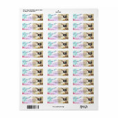 De Etiketten van het Adres van de terugkeer van pi (Full Sheet)